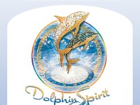 DolphinSpirit A4 Info